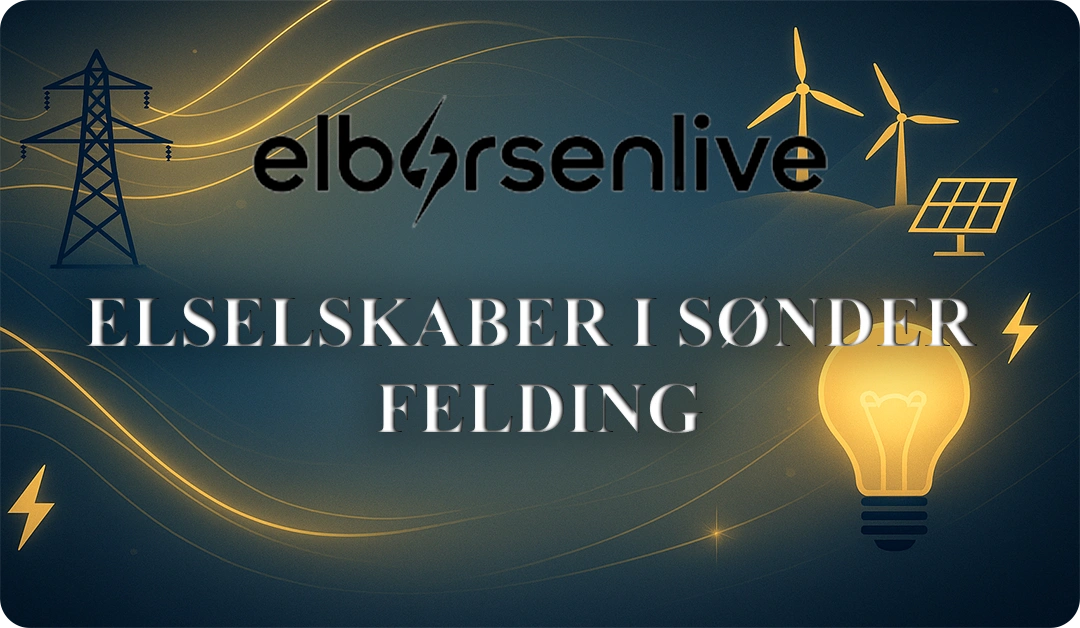 Elselskaber i Sønder Felding