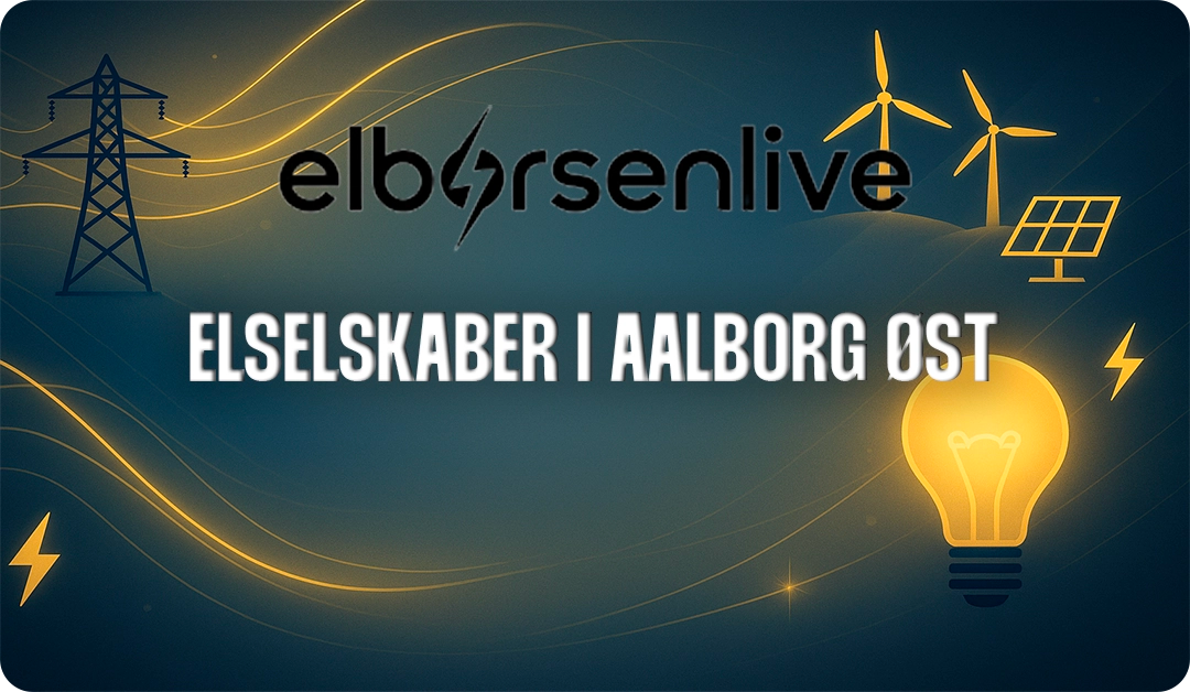 Elselskaber i Aalborg Øst