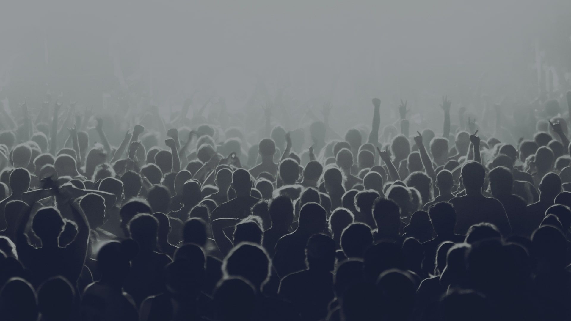 Procure-to-Pay platforms: Maximising market coverage