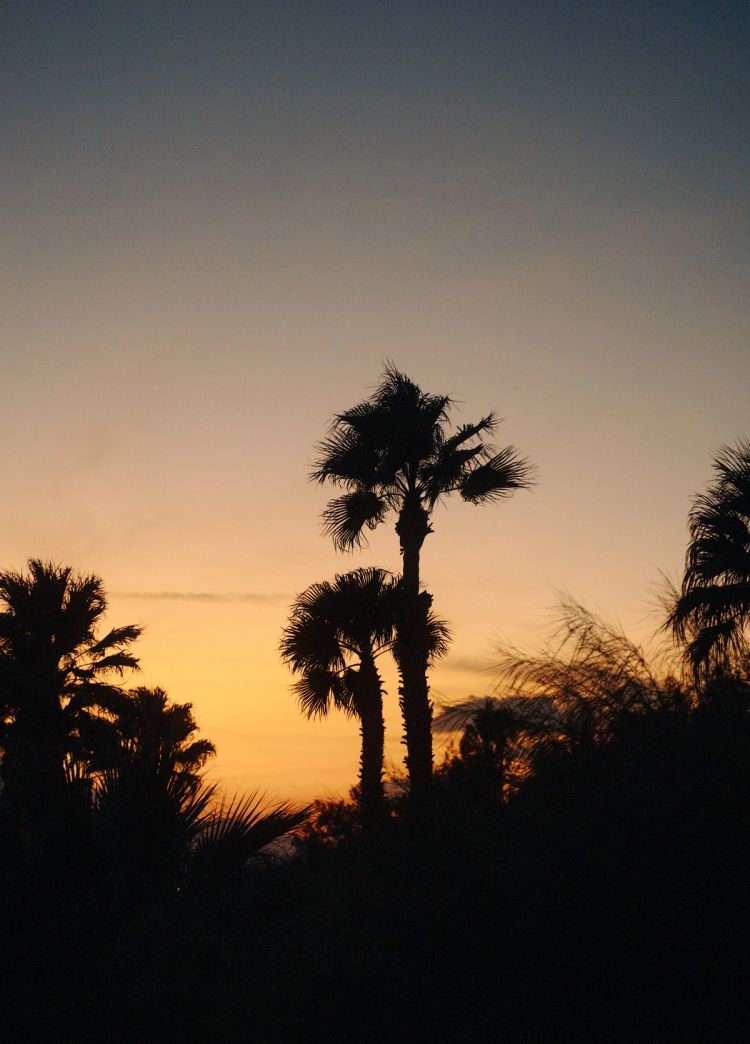 twobunch-november2024-@wayoutvisuals-27