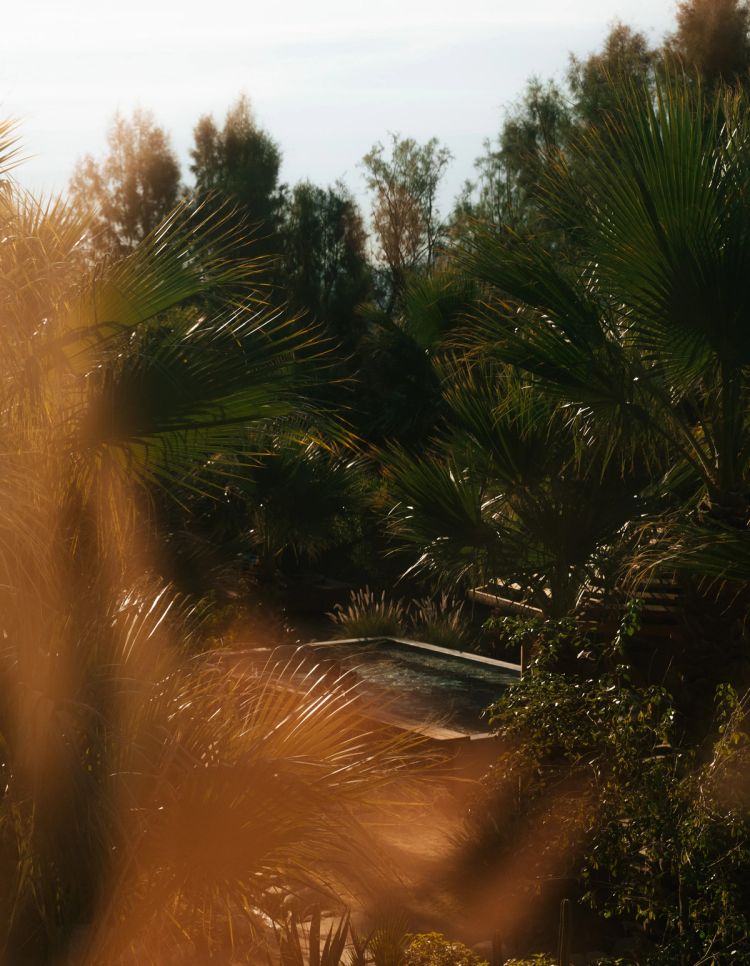 twobunch-november2024-@wayoutvisuals-47