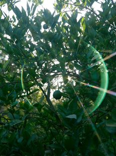 1d6cb4c6d0839f1f649eea973545a404d7522451-4480x6720 (1)