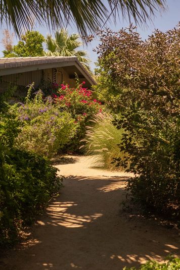 TwoBunchPalms_SS2021-99