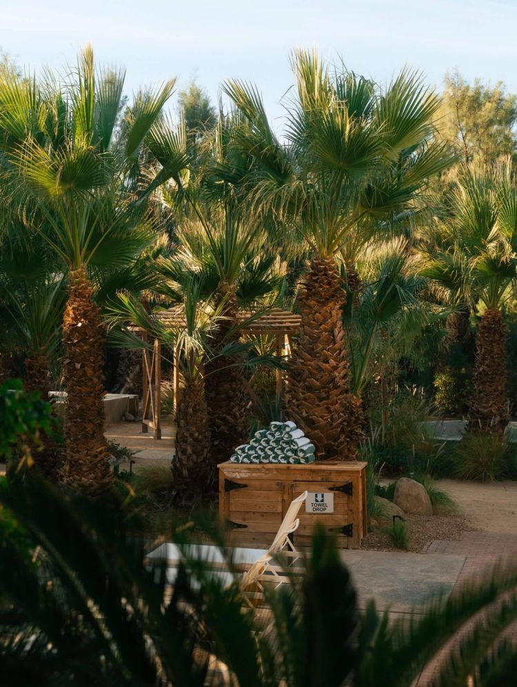 439b4c3cbab642c5585d7f69ce583c95ae3e8391-1880x2500 (1)