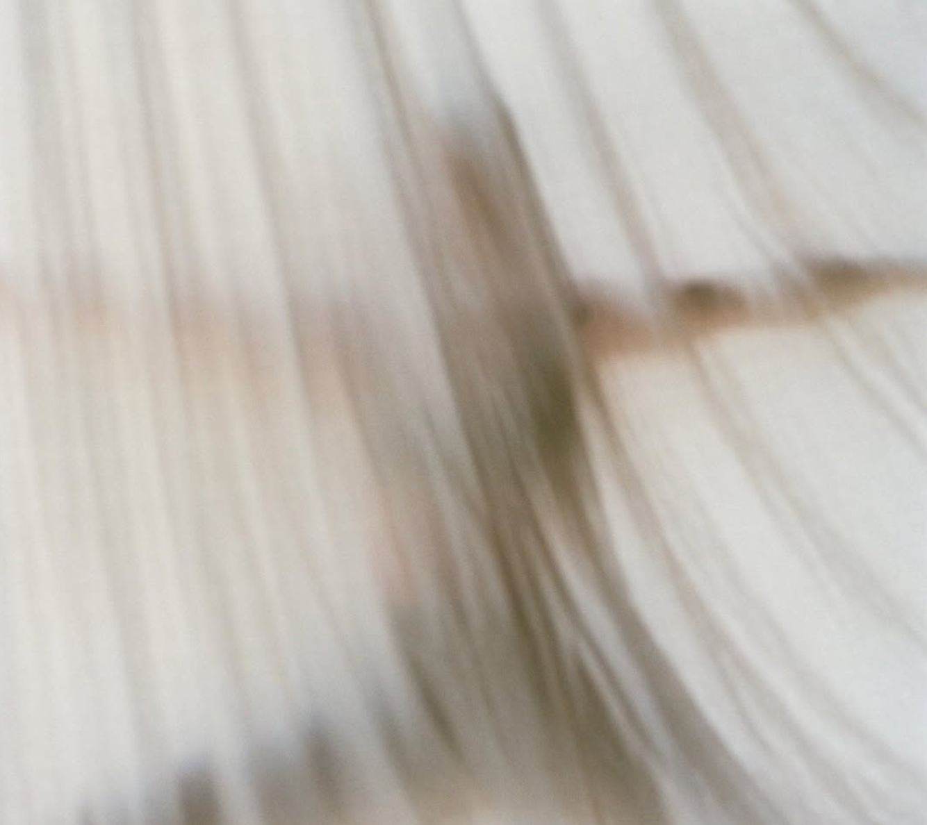 Captura de pantalla 2025-01-17 a las 11.30.31