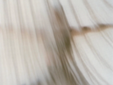 Captura de pantalla 2025-01-17 a las 11.30.31