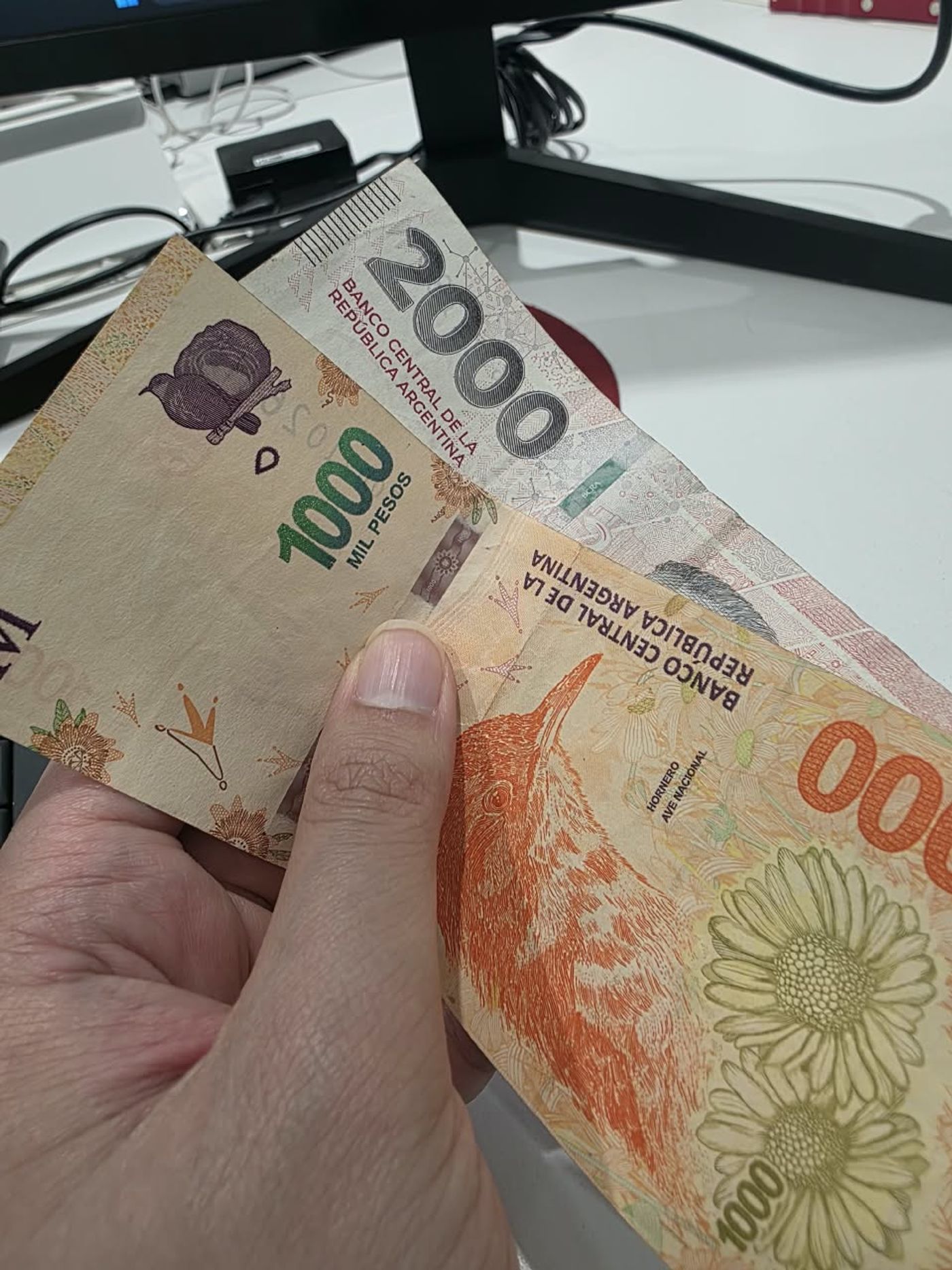 아르헨티나 1000페소 지폐 두 장과 2000페소 지폐 한 장을 손에 부채꼴로 펼쳐 든 사진으로, 1000페소권에는 국조 오르네로와 흙으로 지은 둥지 도안이, 2000페소권에는 은회색 바탕에 2000이라는 액면 숫자가 인쇄되어 있다.