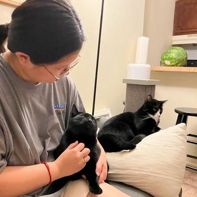 Michelle and Eddy and Eggy