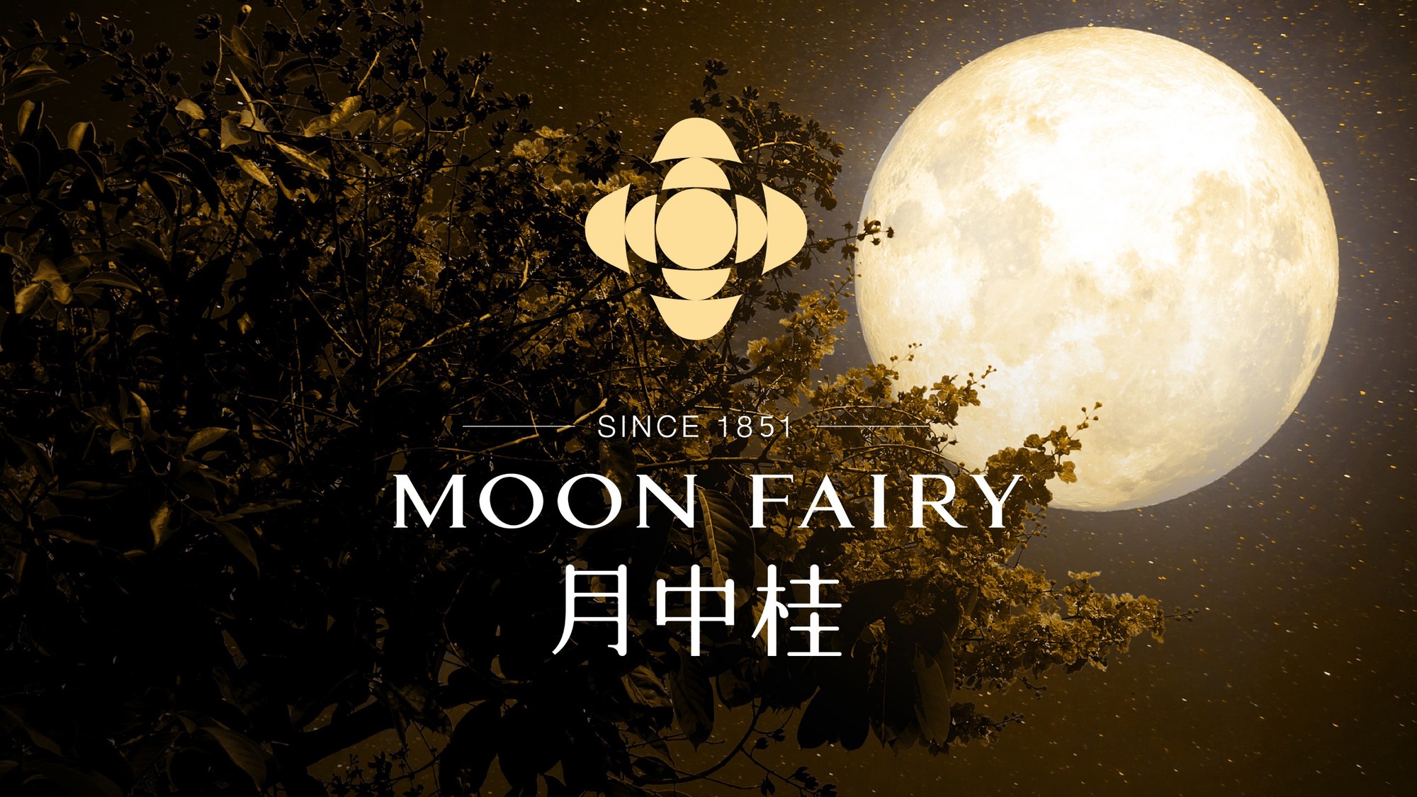 月中桂国潮美妆 作品图 3