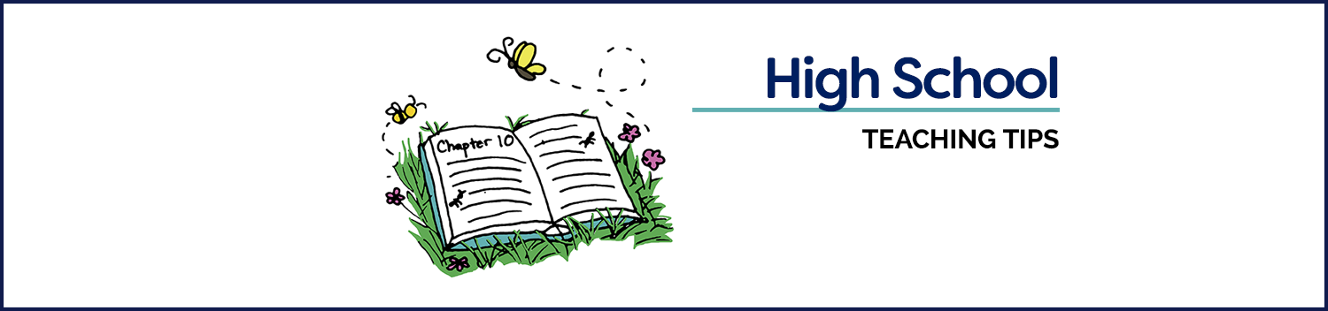 What About High School Transcripts and Diplomas?