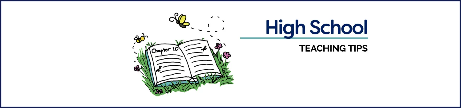 Homeschooling High School