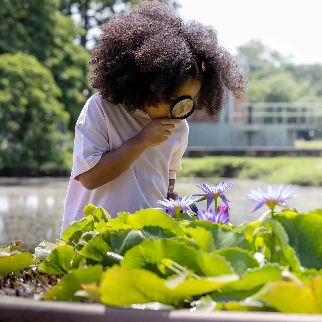 Home Is Where the Fun Is