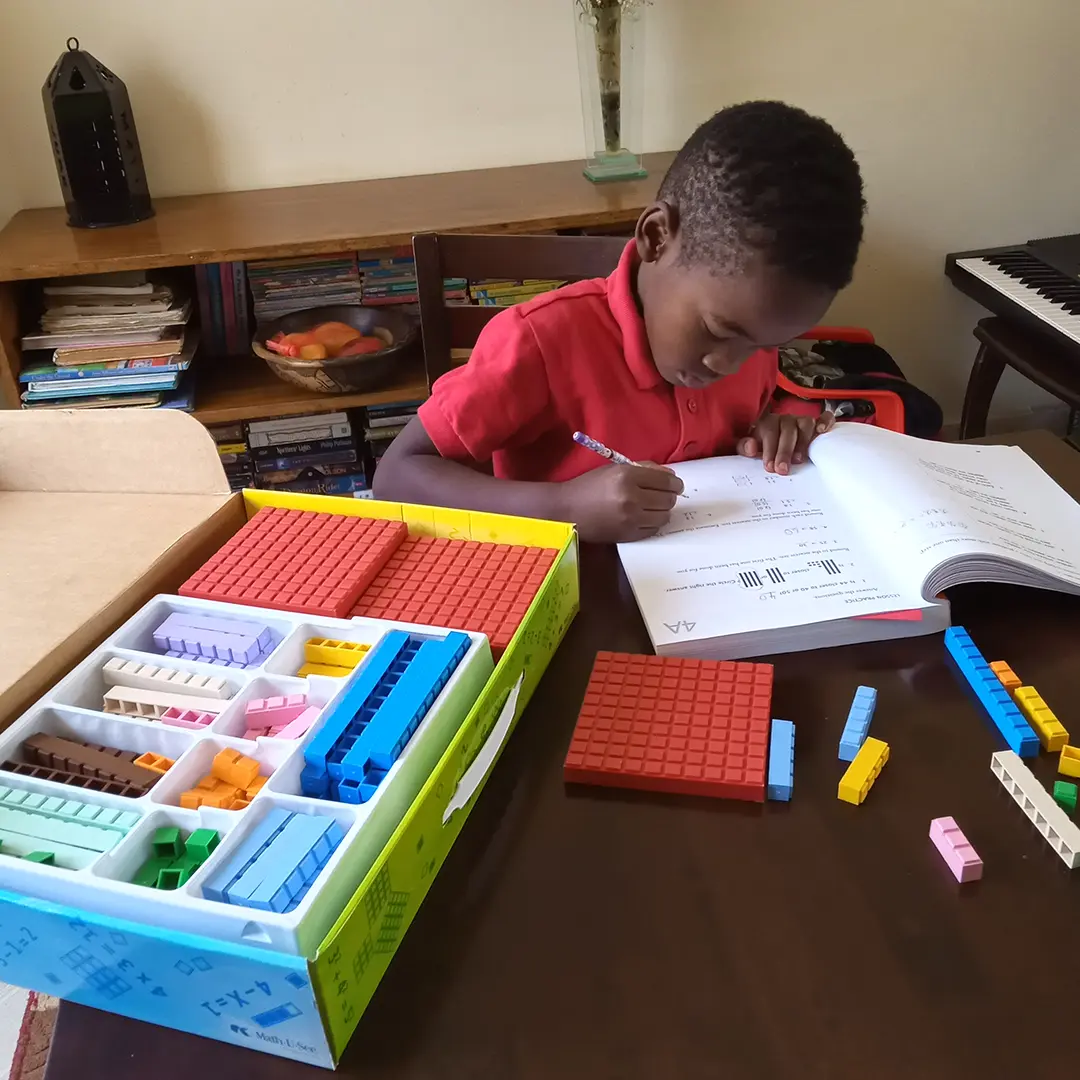 Math See Lessons Why We Chose Math-U-See | Journal
