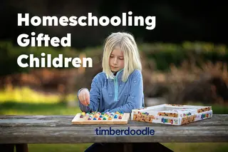 9 Tips for Homeschooling Gifted Children