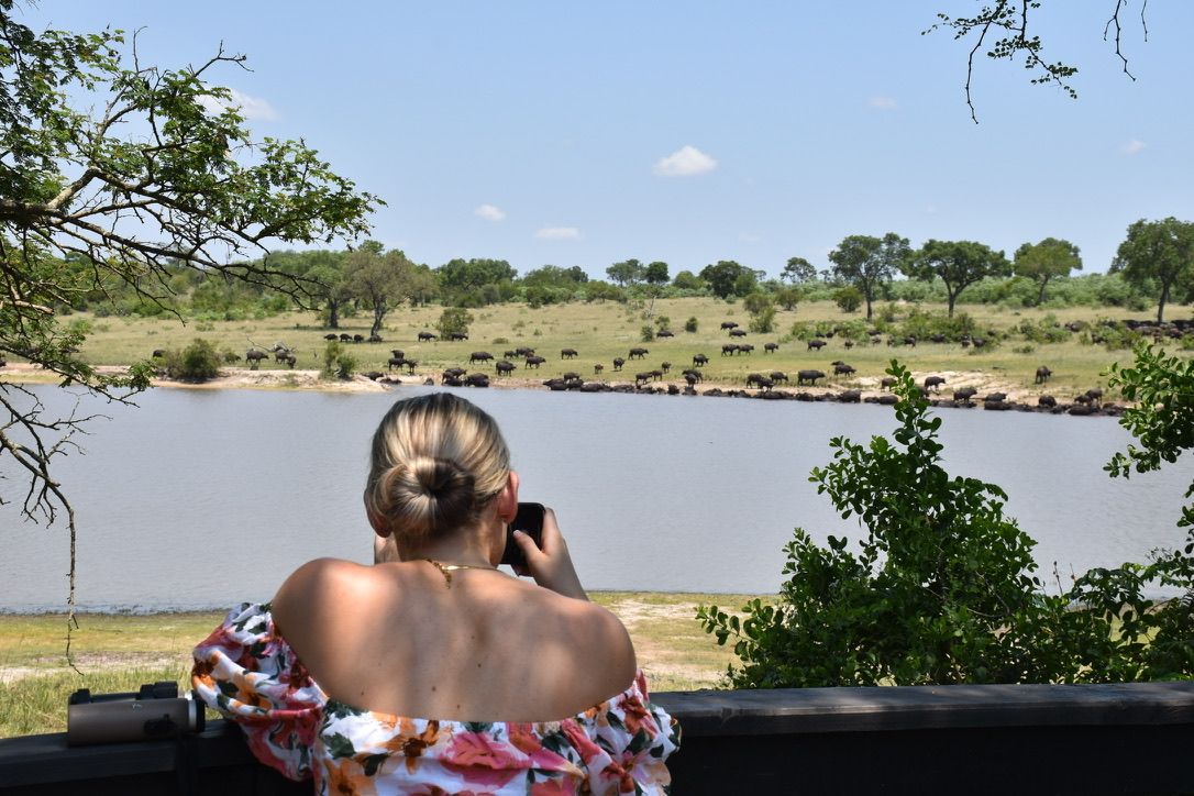 Things You Only Notice on Your Second Safari