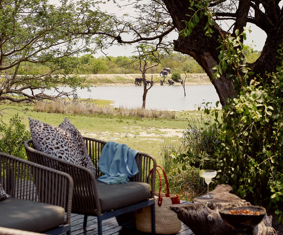 Relaxing Patio View with Elephants