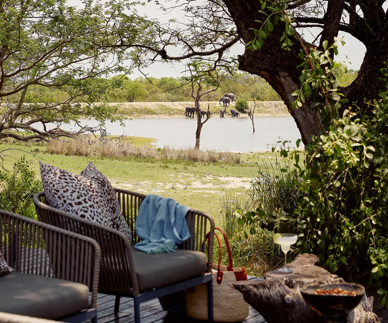 Relaxing Patio View with Elephants