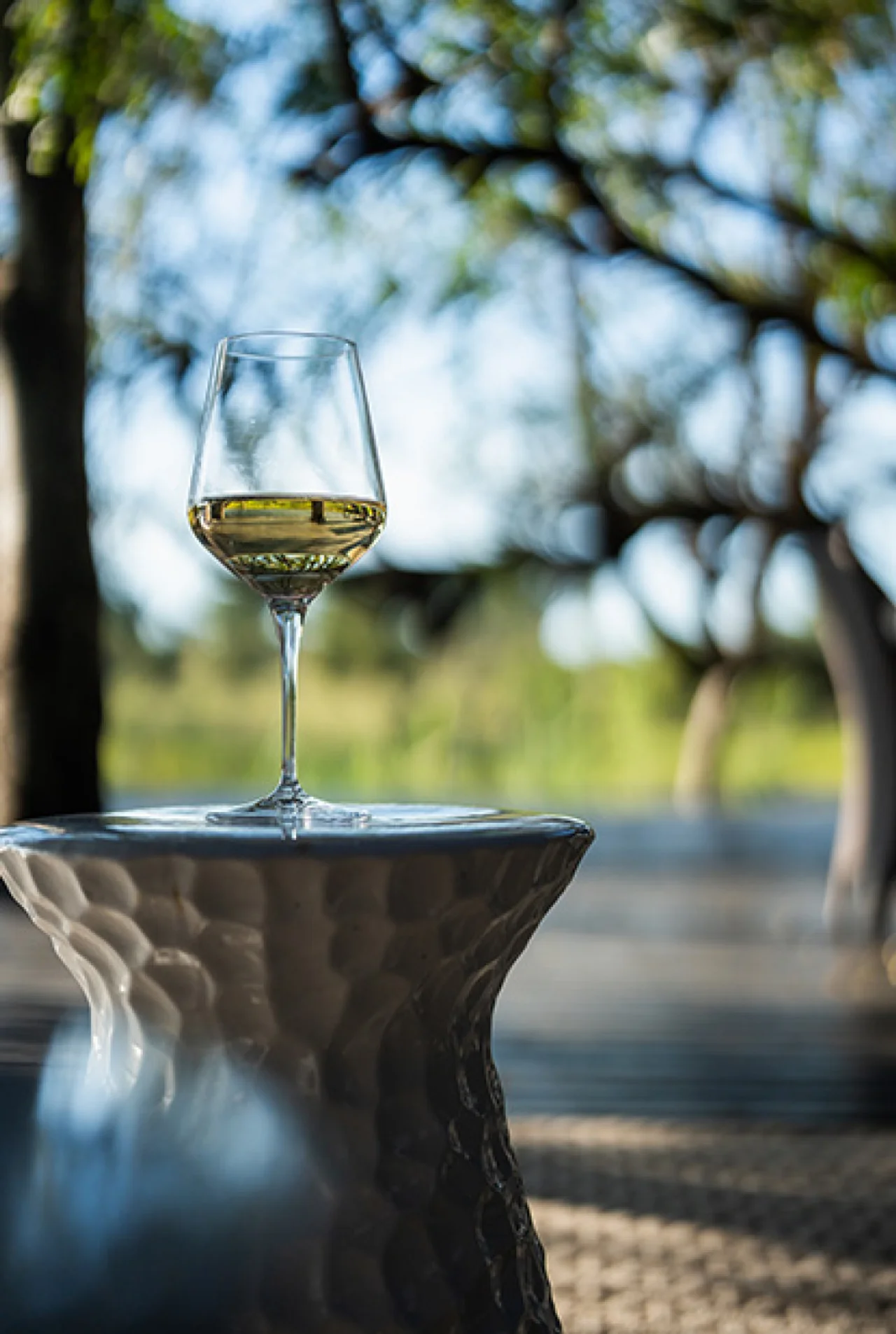 Chitwa Chitwa Lodge Outdoor Setting Wine Glass