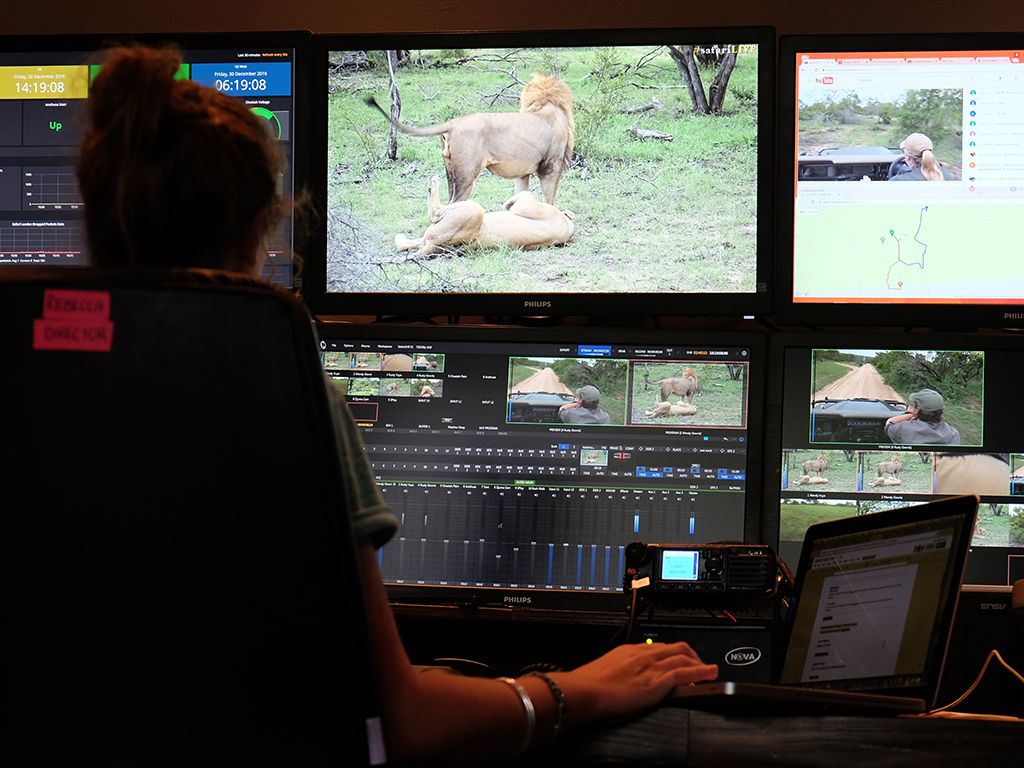 Safari live Natgeo at ChitwaThe #safariLIVE team, in studio waiting for some action to share with guests.