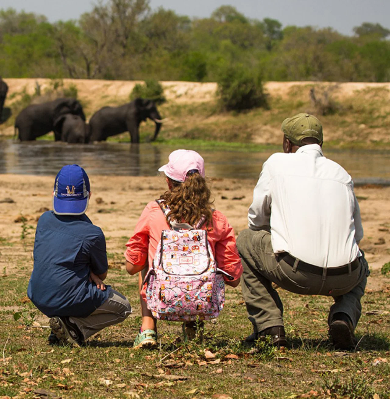 Elephants Watering Sabi Sand