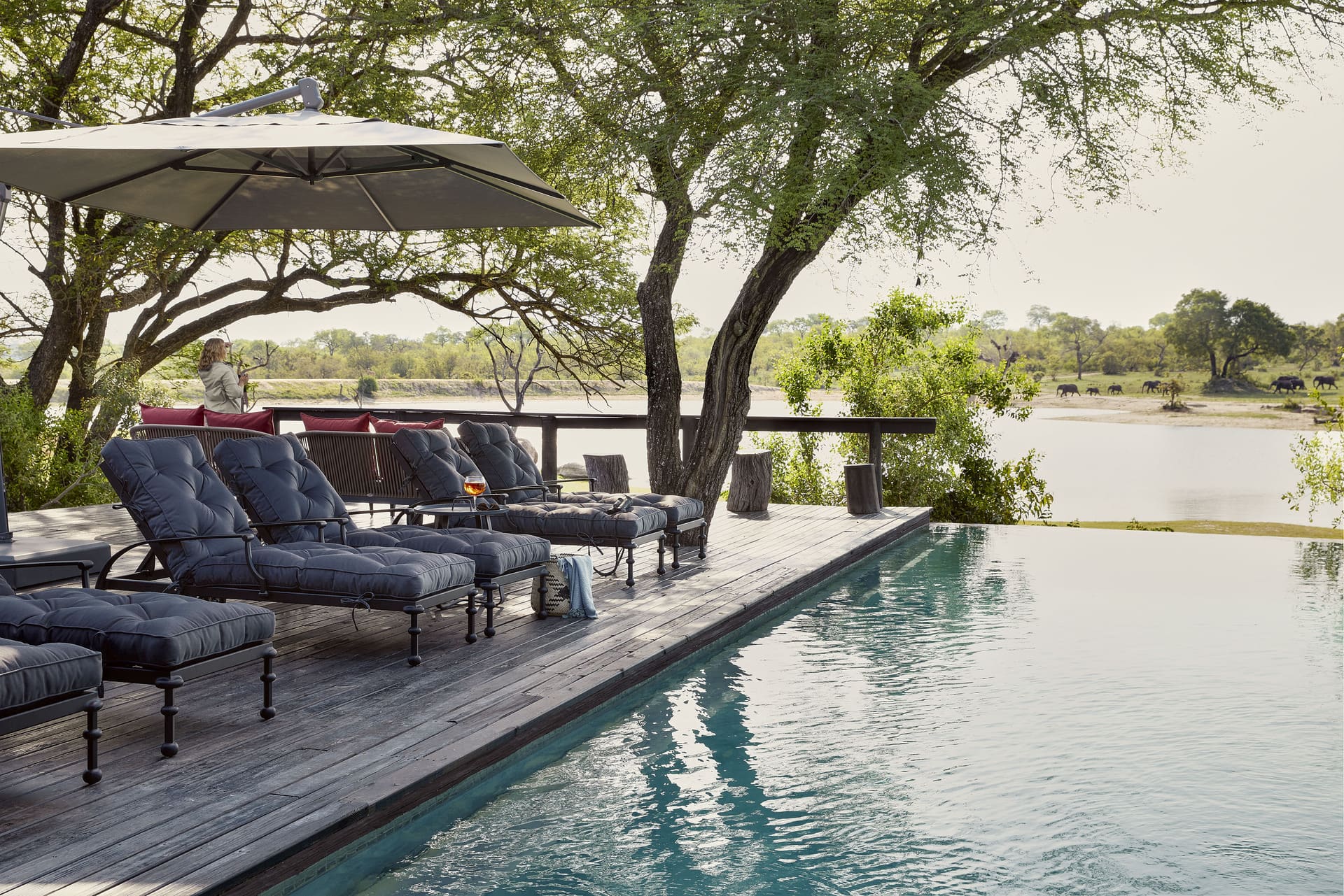 Is a Luxury Safari Worth It?