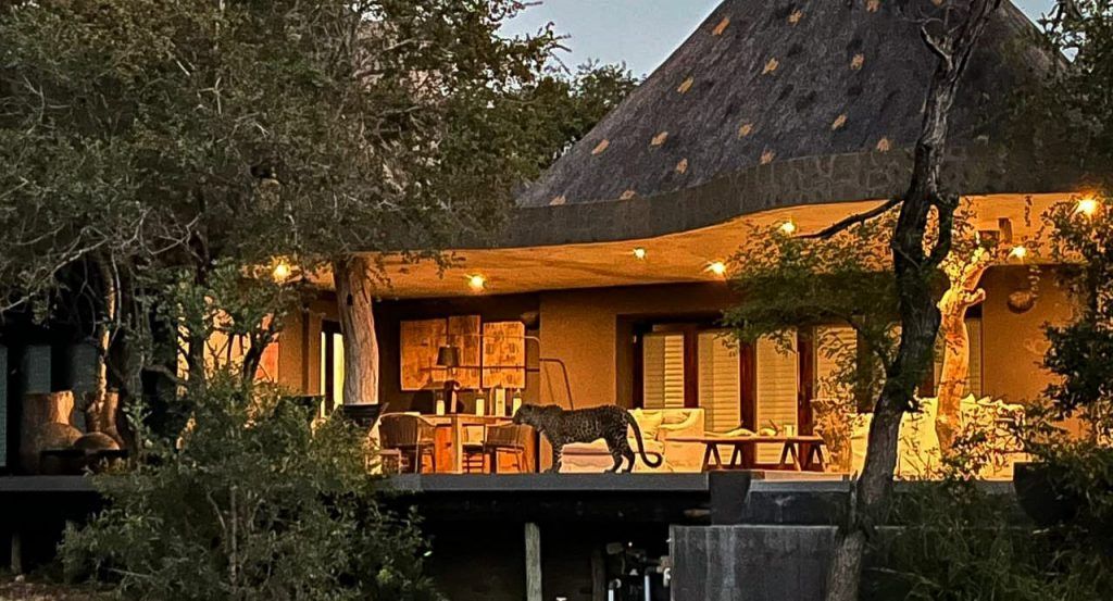 Chitwa Chitwa Lodge Leopard Viewing