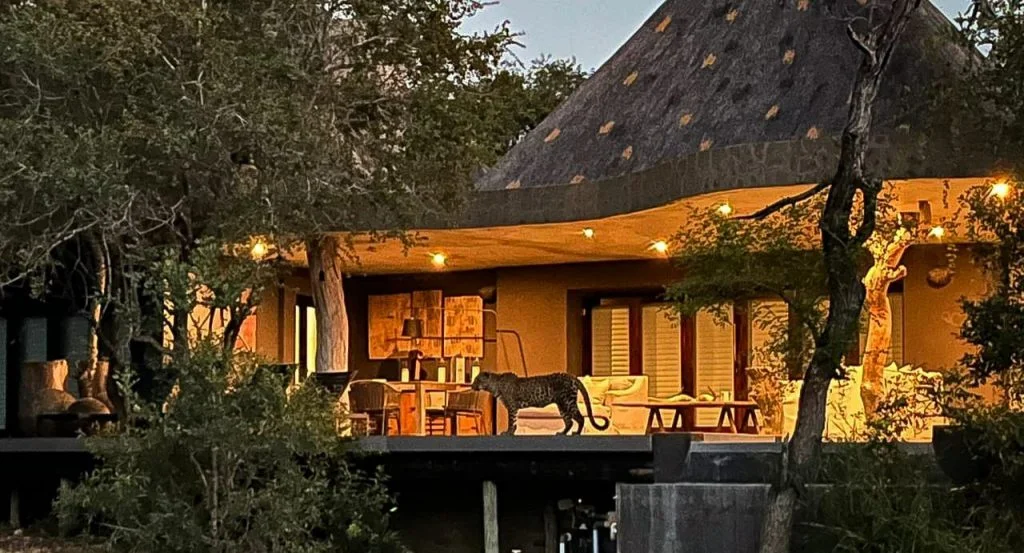 Chitwa Chitwa Lodge Leopard Viewing