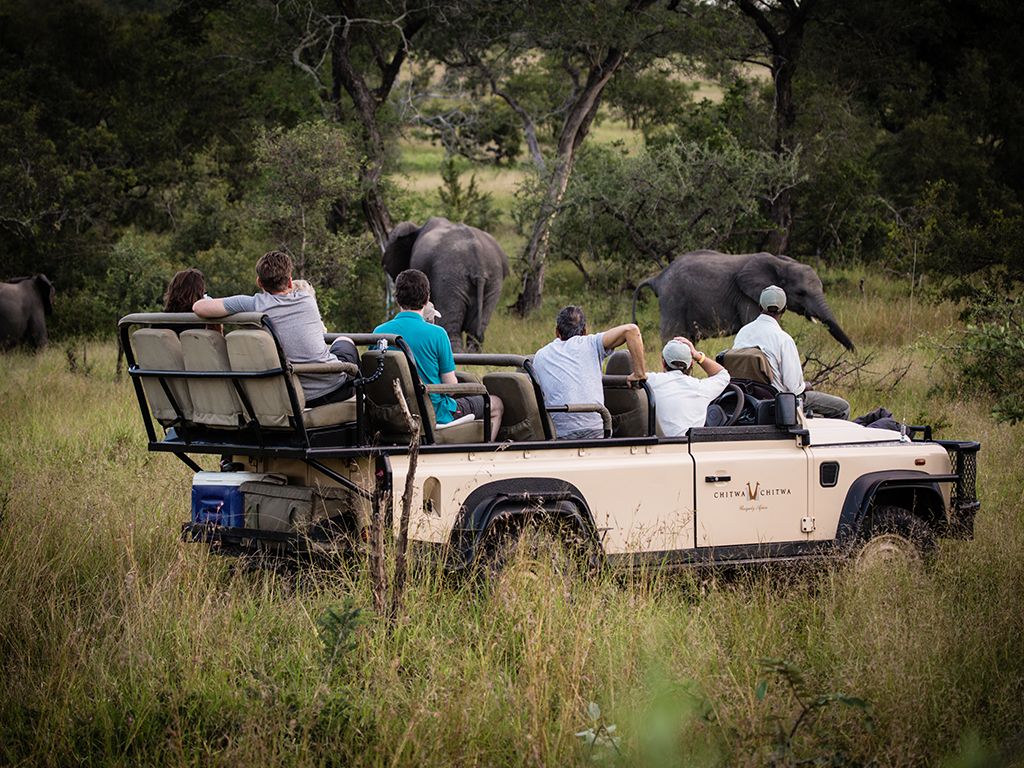 Guests Observing Elephants on Safari