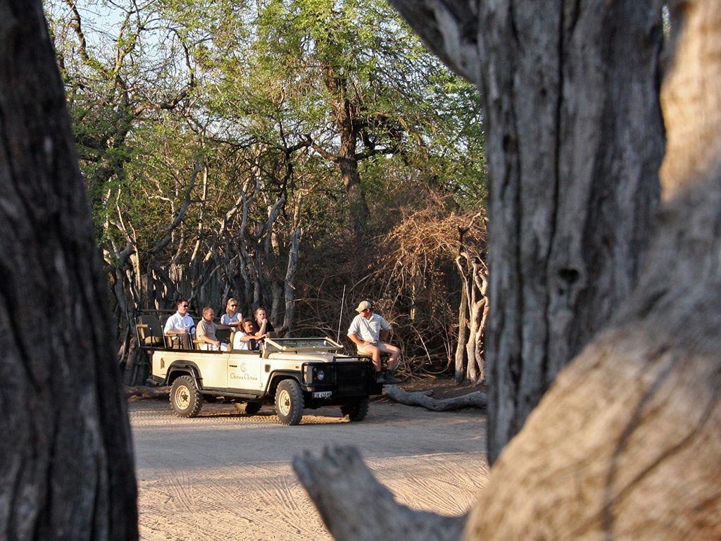 Safari Guests On Game Drive