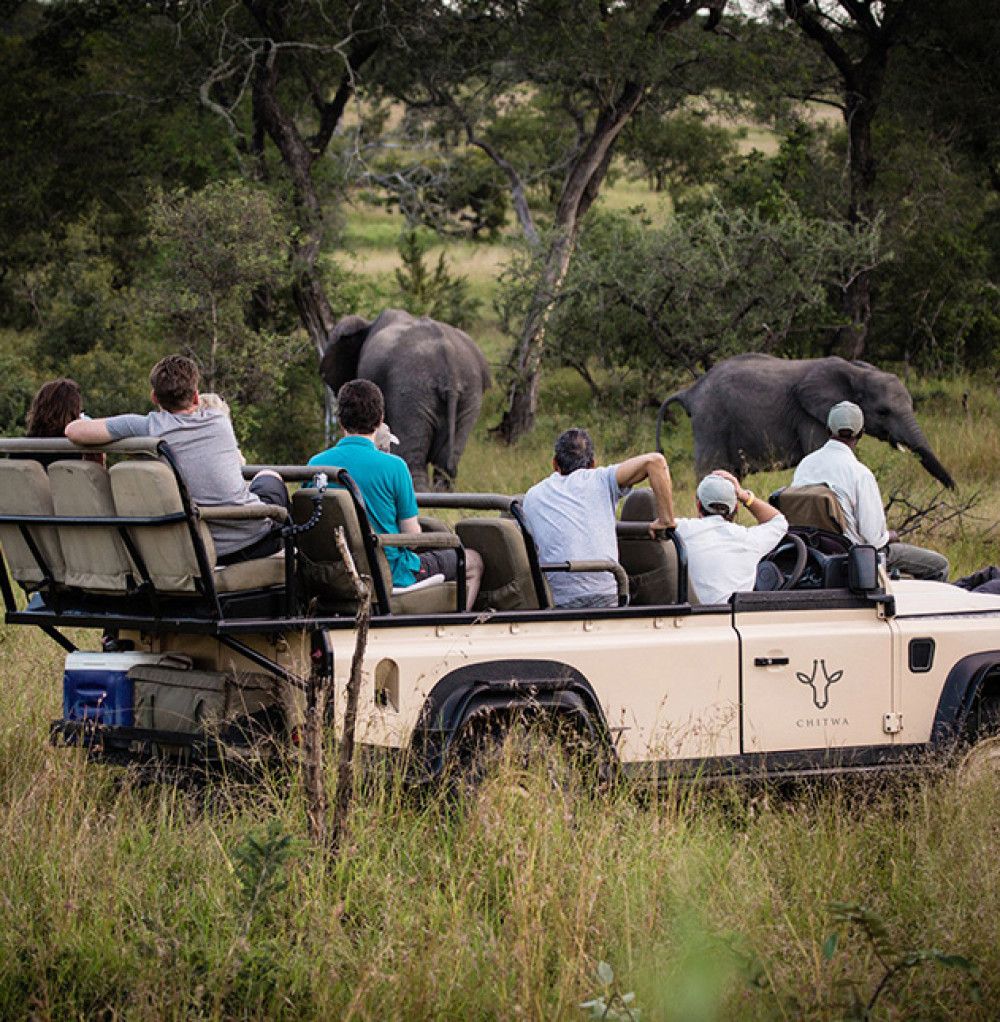Chitwa Chitwa Safari Guests Viewing Elephants