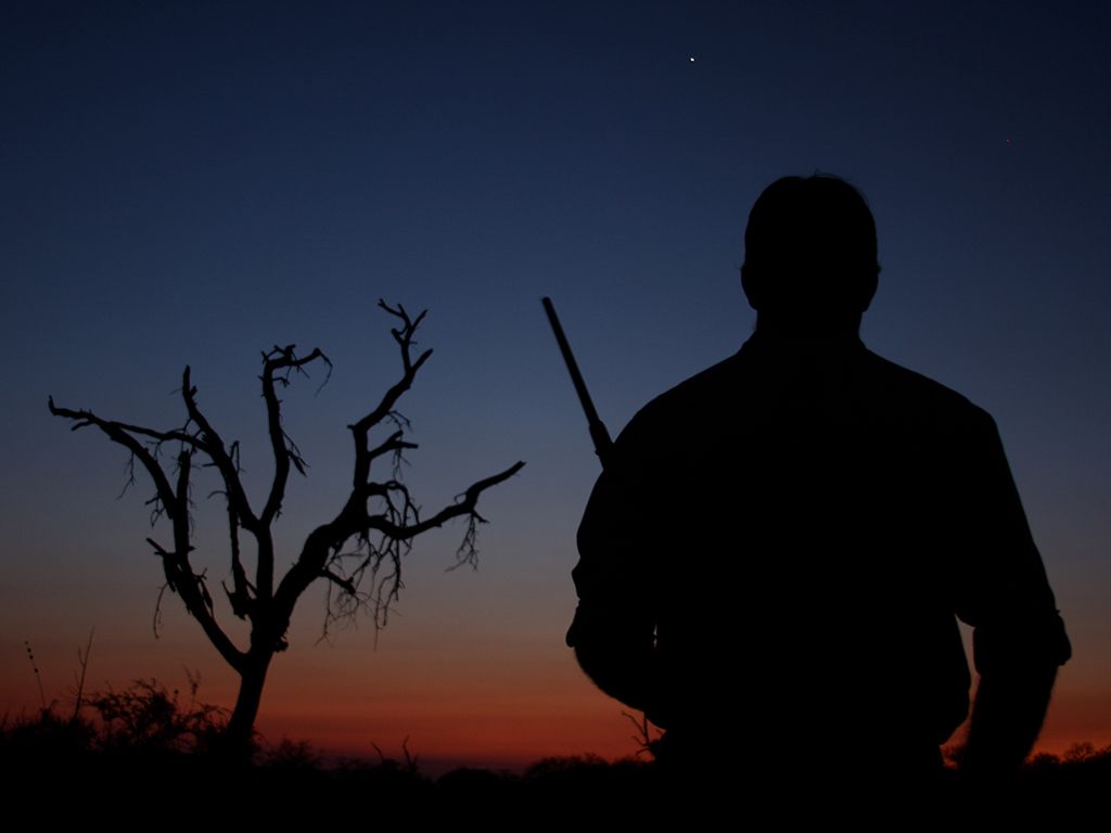 Sunset Silhouette at Sabi Sand