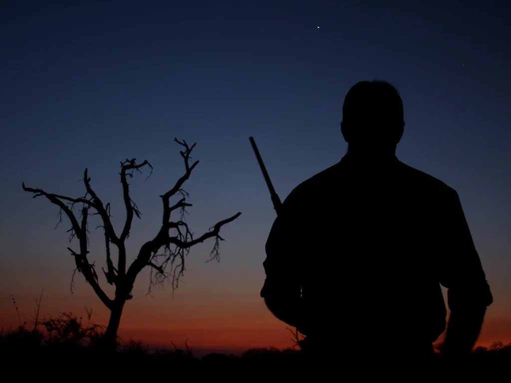 Sunset Silhouette at Sabi Sand