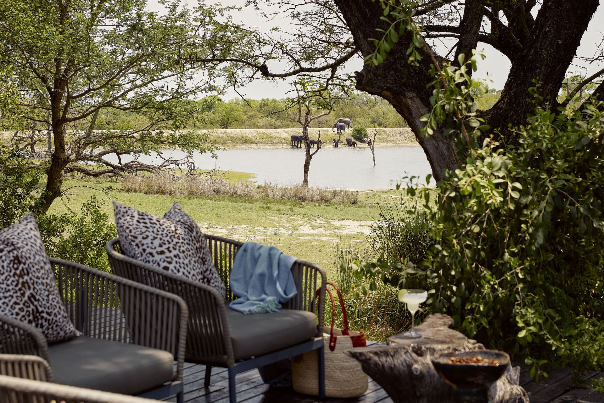 The Wild Comes to You at Chitwa Chitwa