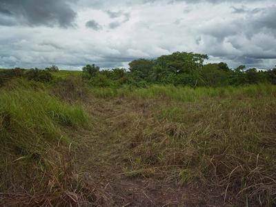 West Africa Photography