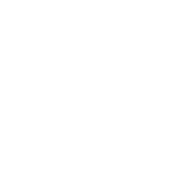 react js developers