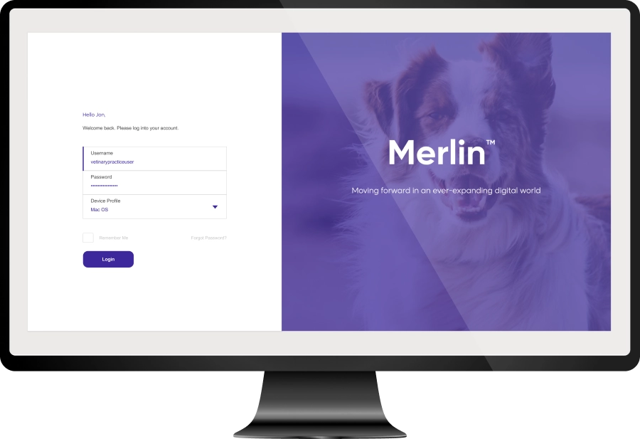 UI design