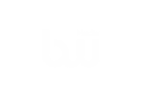 Website development client - Bond Wolfe Media