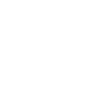 Github icon