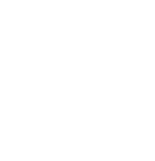 WordPress Developers