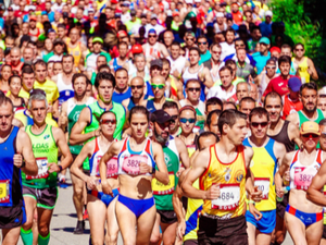 Runners in a large race.