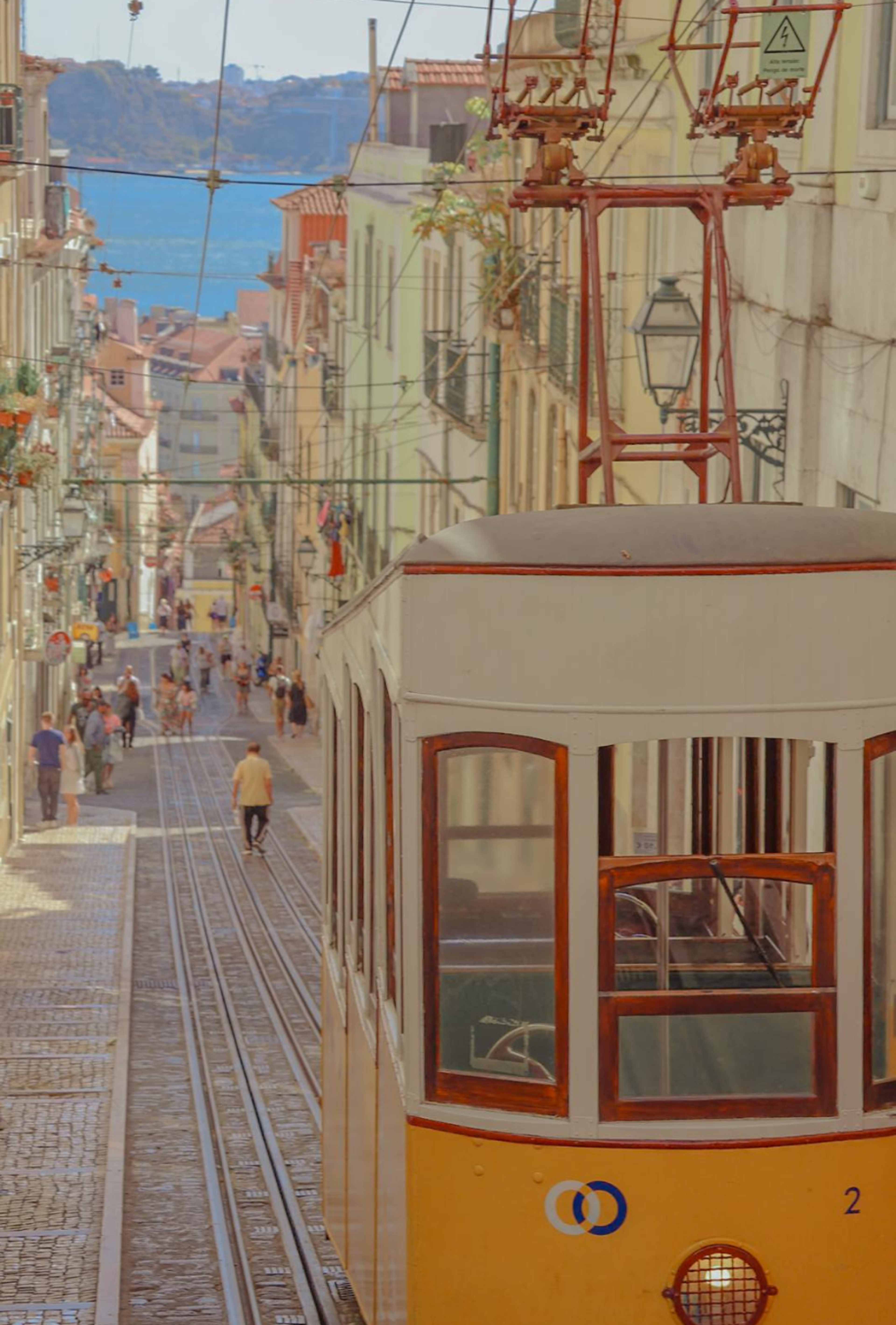 Photography by Celia Montes
