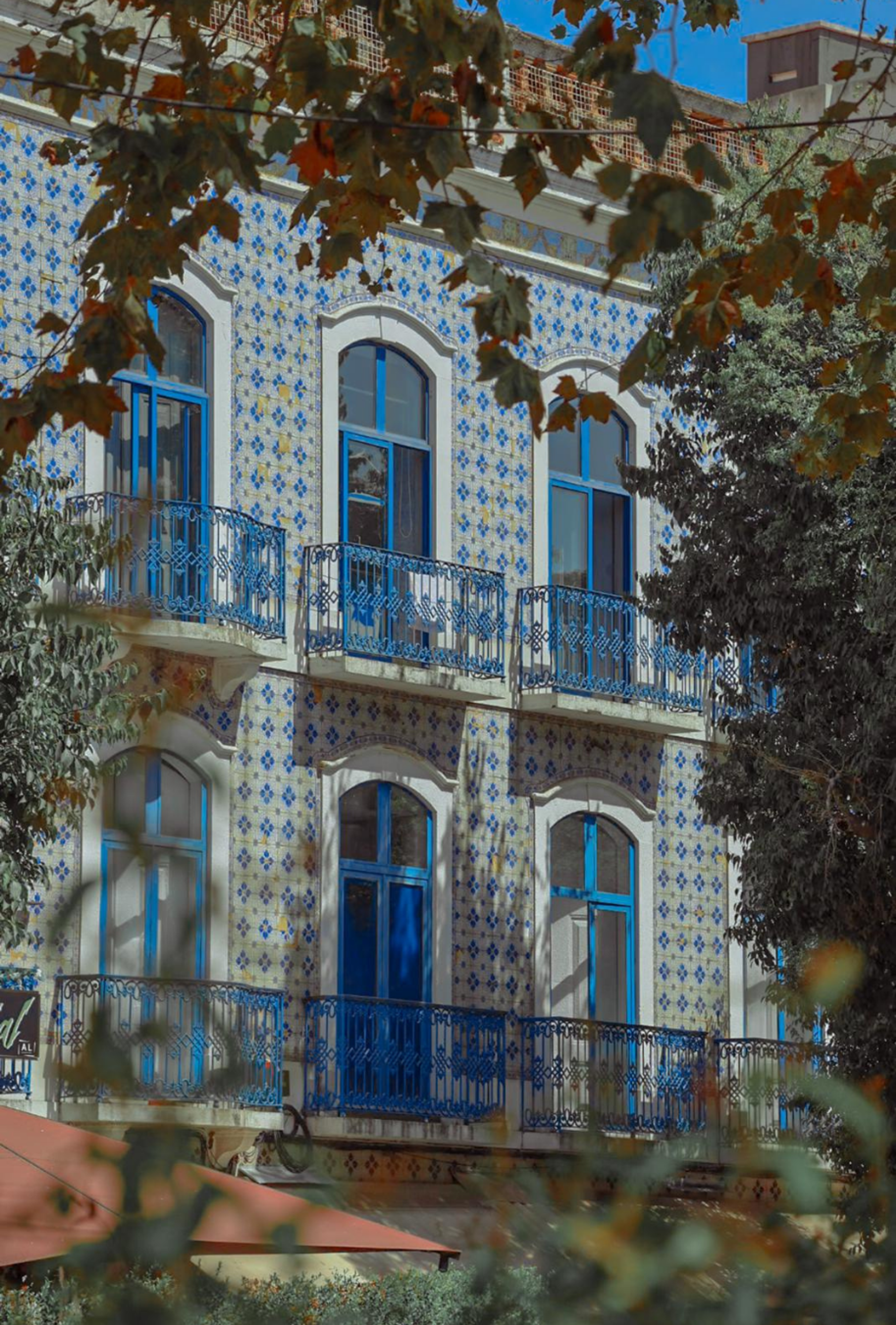 Photography by Celia Montes