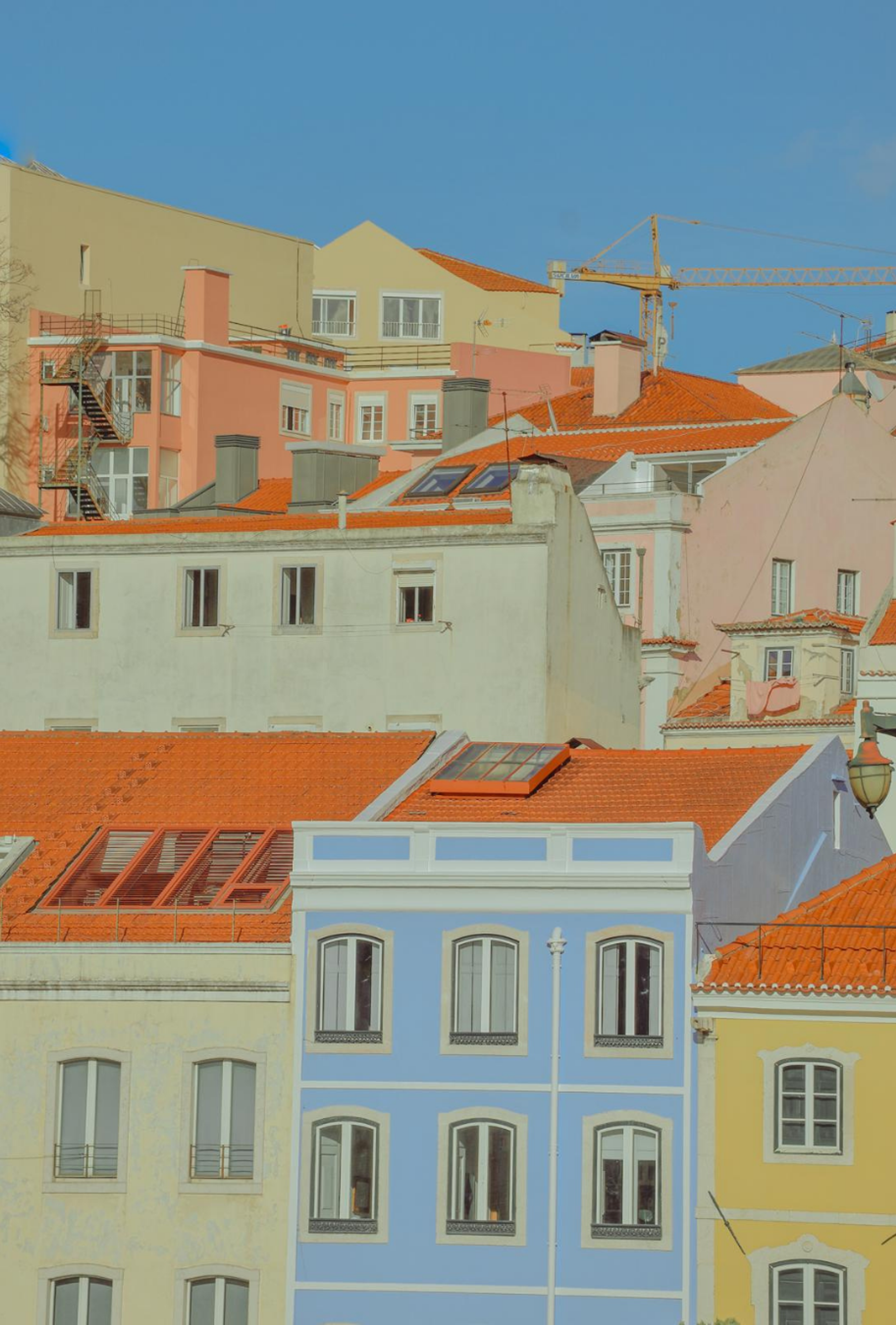 Photography by Celia Montes