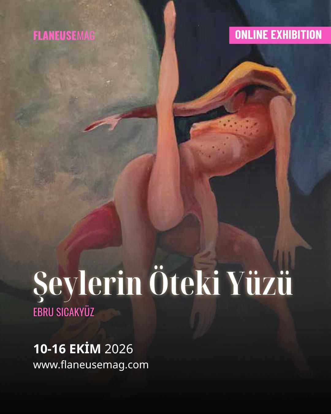 Şeylerin Öteki Yüzü