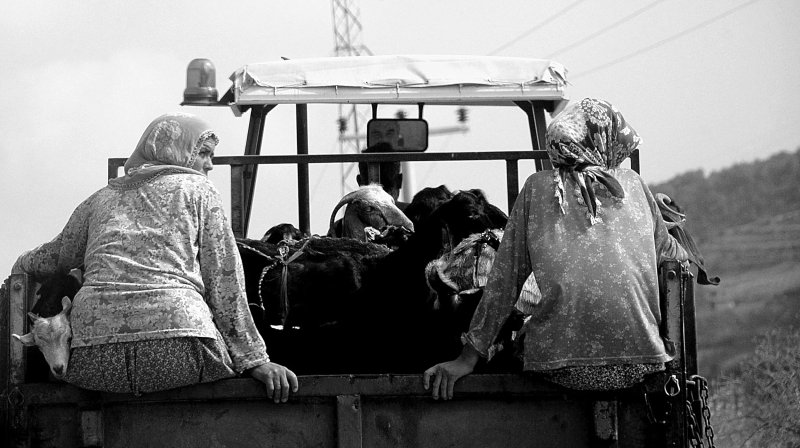 Traces of Burden