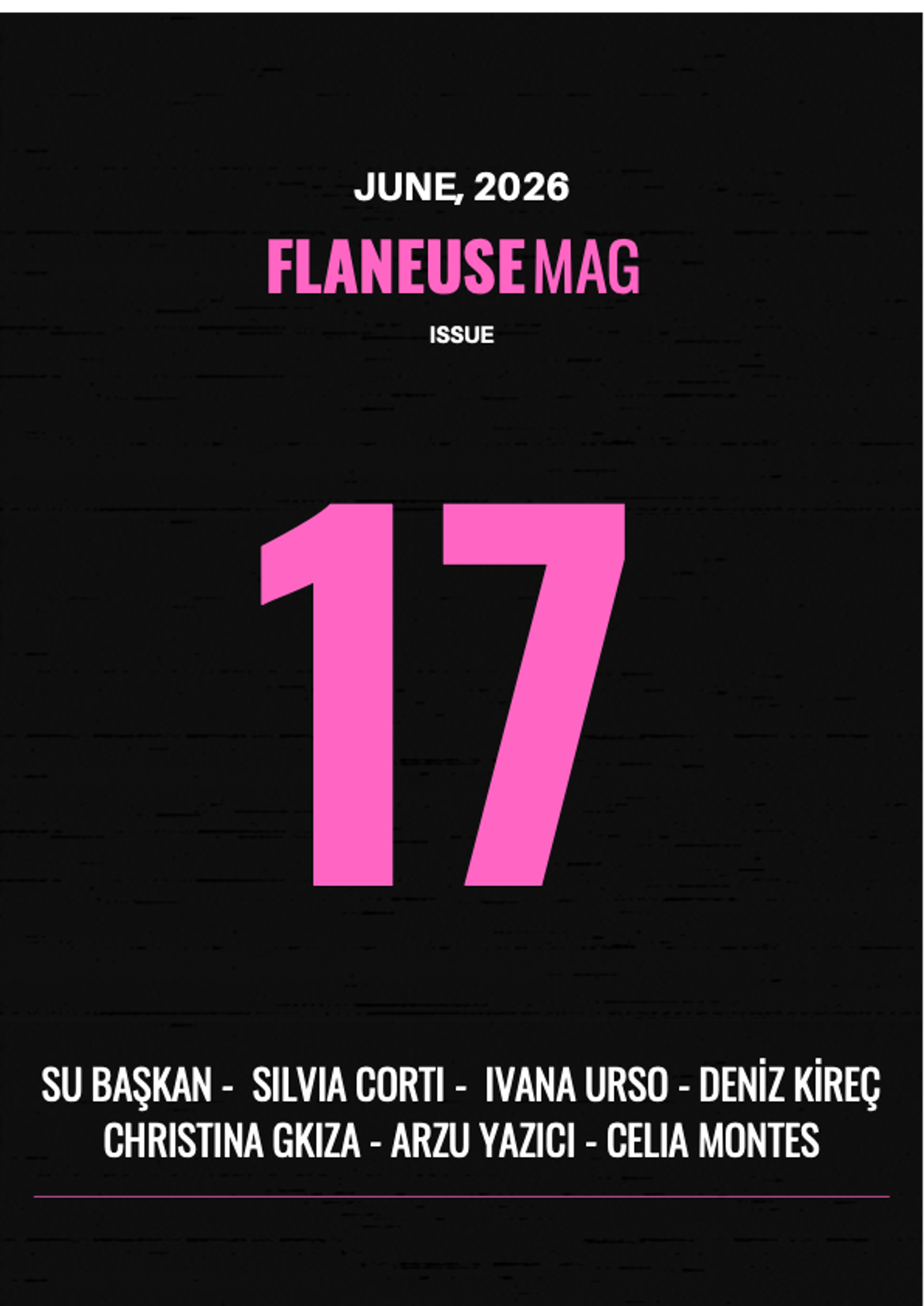 SAYI 17