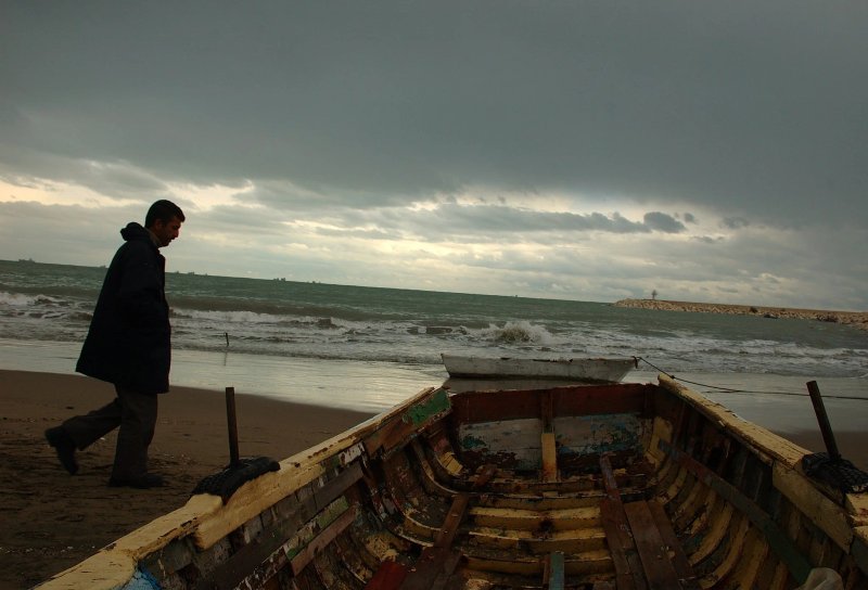 Echoes of the Shore II