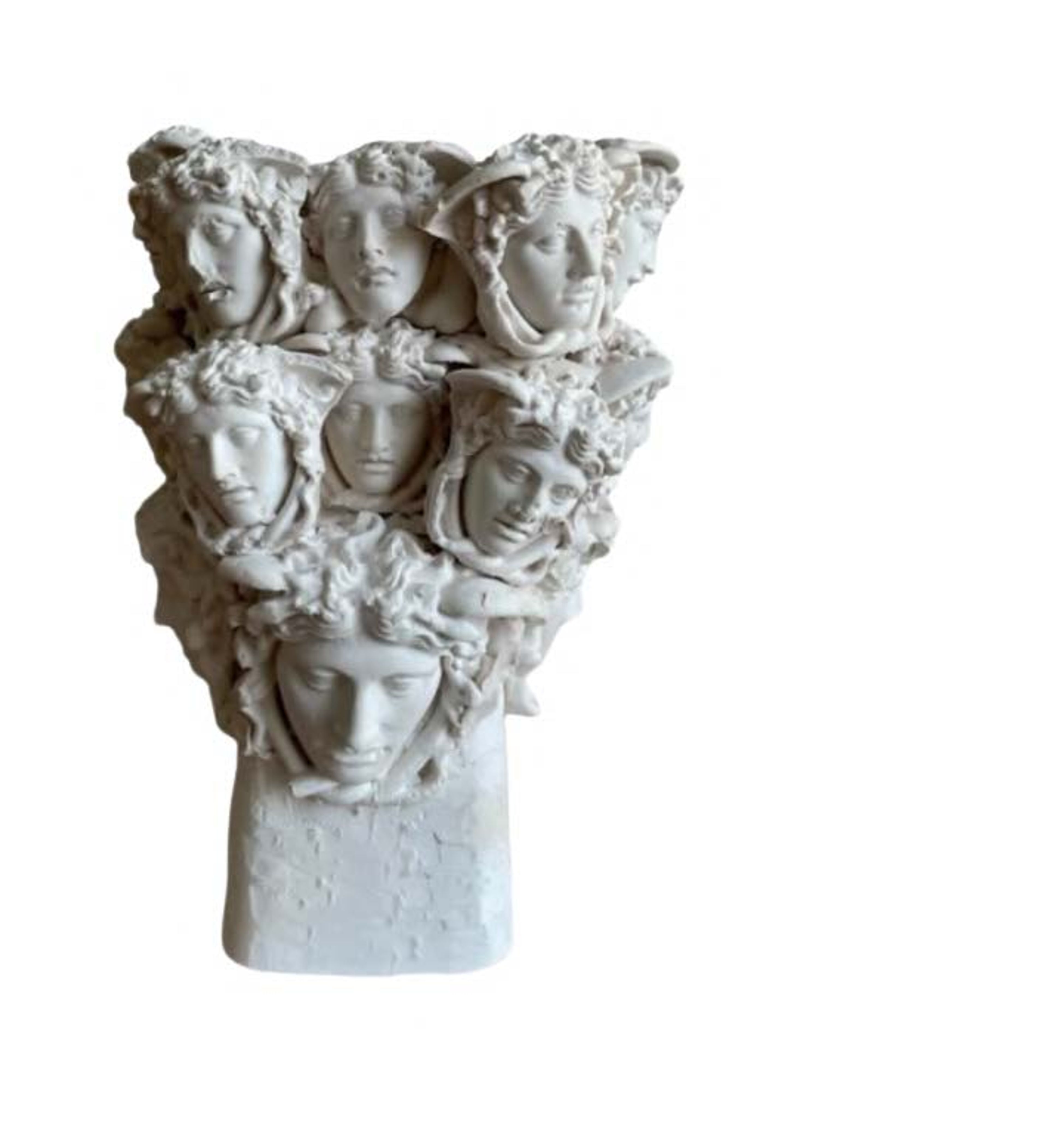 Head's of the Medusa