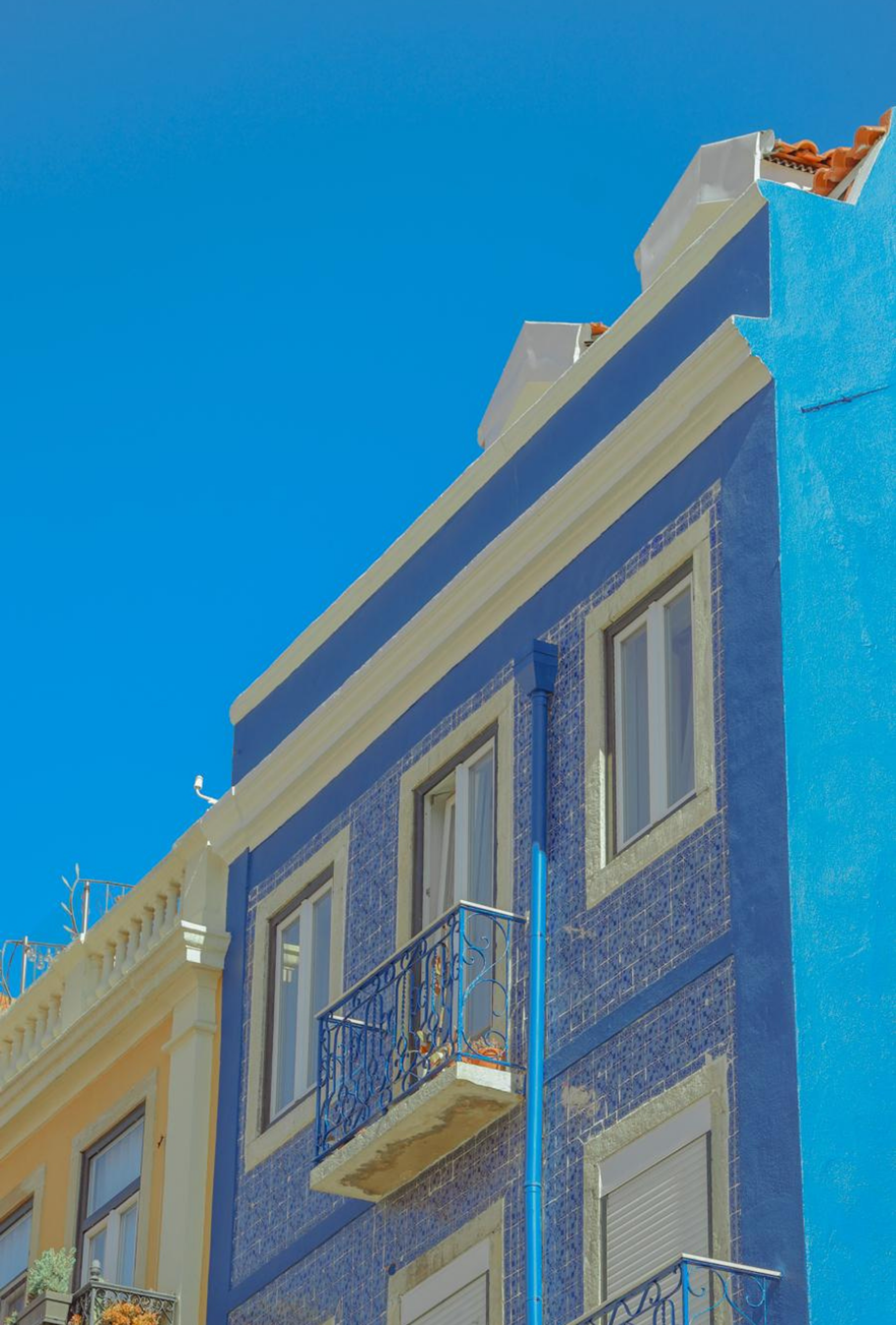 Photography by Celia Montes
