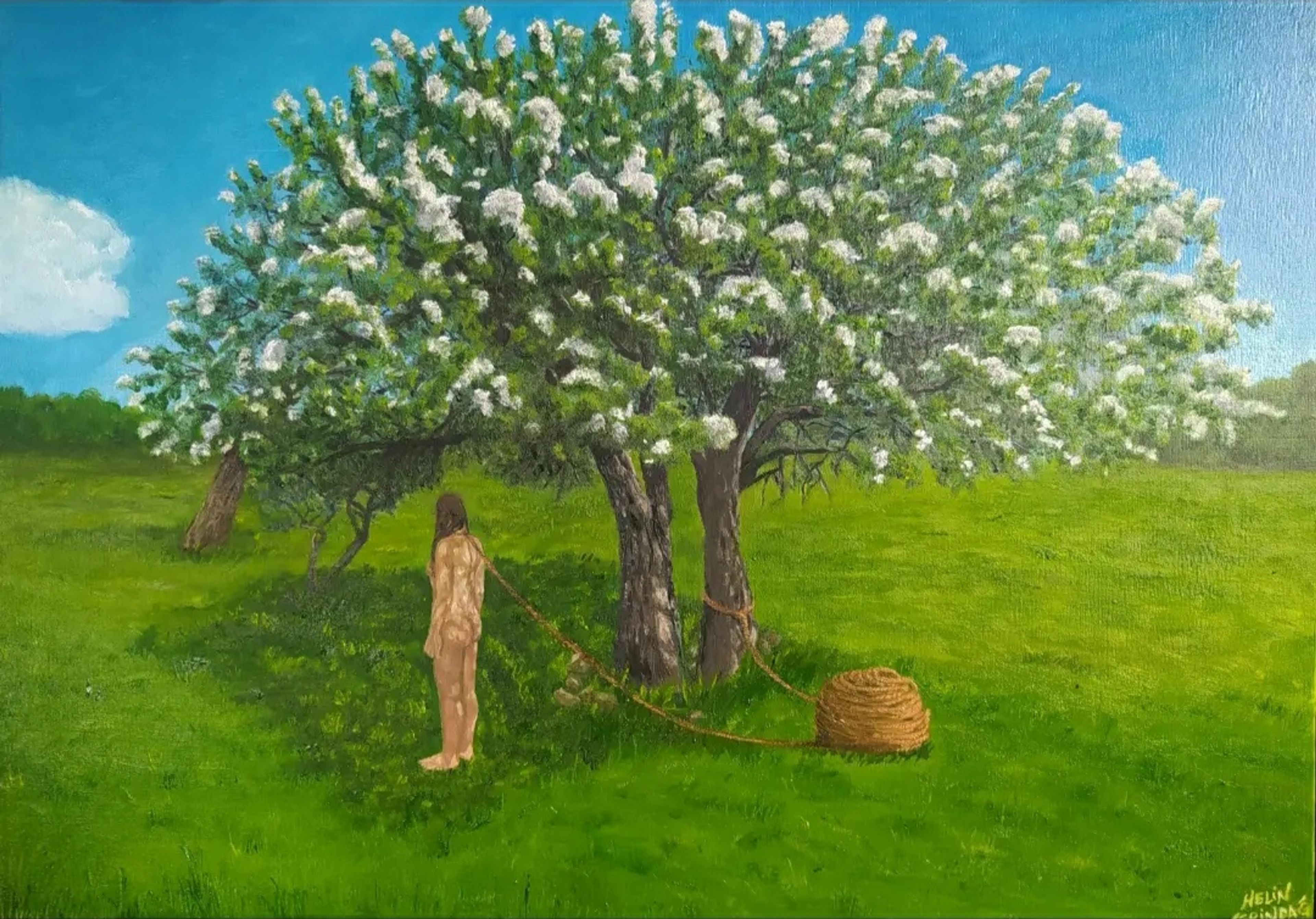 Wild Pear Tree